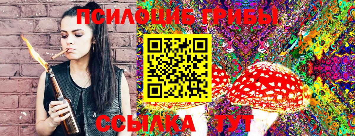 Псилоцибиновые грибы Psilocybine cubensis Орск